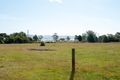 Property photo of 6 Nelson Drive Dilston TAS 7252