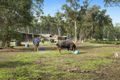 Property photo of 10 Andrew Drive Haddon VIC 3351