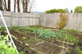 Property photo of 10 Winns Road Cygnet TAS 7112