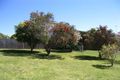 Property photo of 3 Koerber Street Bermagui NSW 2546