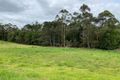 Property photo of 71 Fullager Drive Eumundi QLD 4562