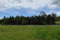 Property photo of 71 Fullager Drive Eumundi QLD 4562