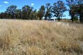 Property photo of 3665 Gwabegar Road Gwabegar NSW 2356
