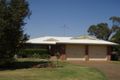 Property photo of 20 Nellie Street Centenary Heights QLD 4350