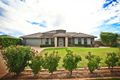 Property photo of 573 Wheelers Lane Dubbo NSW 2830