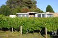 Property photo of 92 Mt Stanley Road Stanley VIC 3747