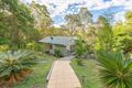 Property photo of 116 Benian Road The Palms QLD 4570
