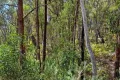 Property photo of LOT 5 Doctors Flat Road Wee Jasper NSW 2582