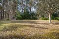 Property photo of 78 Northcove Road Long Beach NSW 2536