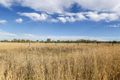 Property photo of 1737 Jondaryan Nungil Road Brymaroo QLD 4403