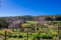 Property photo of 24 Prowse Road Balingup WA 6253