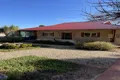 Property photo of 30 Laffer Street Barmera SA 5345