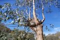 Property photo of 104B Fernhurst Road Cherryville SA 5134