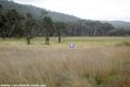 Property photo of 4 Manns Lane Stanthorpe QLD 4380