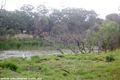 Property photo of 4 Manns Lane Stanthorpe QLD 4380