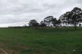 Property photo of 3 Schirmer Road Freeling SA 5372