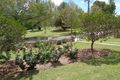 Property photo of 41 Brock Avenue Stanthorpe QLD 4380