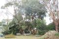 Property photo of 6 Waterloo Street Rhyll VIC 3923