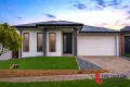 Property photo of 28 Naroon Drive Kalkallo VIC 3064