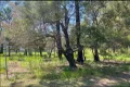 Property photo of 9 Eastern Road Macleay Island QLD 4184