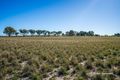 Property photo of L10 Barrack Road South Tammin WA 6409