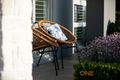 Property photo of 7 Crest Road Gledswood Hills NSW 2557