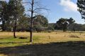 Property photo of Farnell Street Mendooran NSW 2842