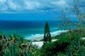 Property photo of 6 Midjimberry Road Point Lookout QLD 4183