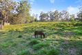 Property photo of 15 Glenkeith Place Eudlo QLD 4554