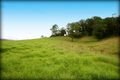 Property photo of 596 Littles Loop Road Upper Rollands Plains NSW 2441
