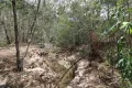 Property photo of LOT 3 Barkles Road Isis Central QLD 4660