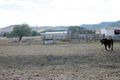 Property photo of 66 Spring Creek Road Killarney QLD 4373