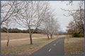 Property photo of 12 Stantke Place Gowrie ACT 2904