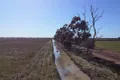 Property photo of 617 Lady Augusta Road Echuca VIC 3564