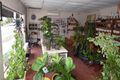 Property photo of 51 Main Street Scone NSW 2337