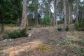 Property photo of 2329 Gordon River Road National Park TAS 7140