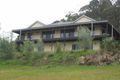 Property photo of 1125 Minimbah Road Minimbah NSW 2312