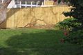 Property photo of 12 Baroona Road Northbridge NSW 2063