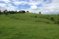 Property photo of 141 Tyalgum Creek Road Tyalgum Creek NSW 2484