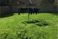 Property photo of 45 Ellis Street Flora Hill VIC 3550