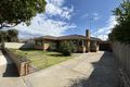 Property photo of 16 Saffron Street Newtown VIC 3220