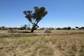 Property photo of 2 Ridge Street Attunga NSW 2345