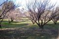 Property photo of 4 Bailey Heights Balingup WA 6253