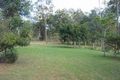 Property photo of 3 Roxburgh Road Wights Mountain QLD 4520