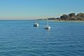 Property photo of 3 Ord Street St Leonards VIC 3223