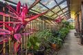 Property photo of 36 Andracia Street Kallangur QLD 4503