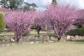 Property photo of 9 Copain Place South Penrith NSW 2750