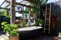 Property photo of 15 Wilson Street Maroubra NSW 2035