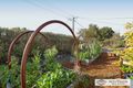 Property photo of 17 Treeby Street Coolbellup WA 6163