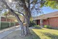 Property photo of 1 Wheaton Road Plympton SA 5038